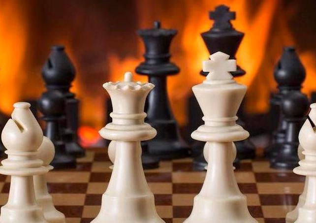 Curated Gaming Wisdom. Expert Insights Meet Passionate Player Community